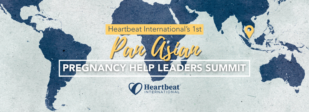 Pregnancy Help Leaders Summit Banner