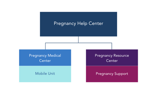 what is a pregnancy help organization?