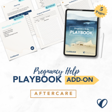 Aftercare Pregnancy Help Playbook Add-On Aftercare Pregnancy Help Playbook Add-On