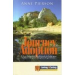 The Journey of Adoption